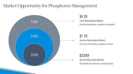 High Phosphorus Foods Chart PPT Template VM