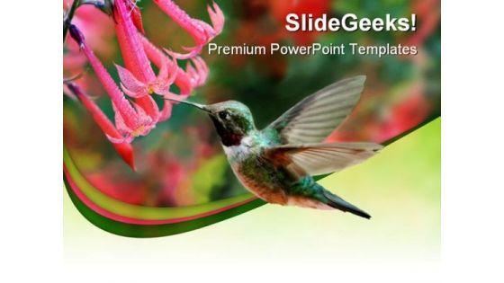 humming_bird_animals_powerpoint_themes_and_powerpoint_slides_0211_title.jpg