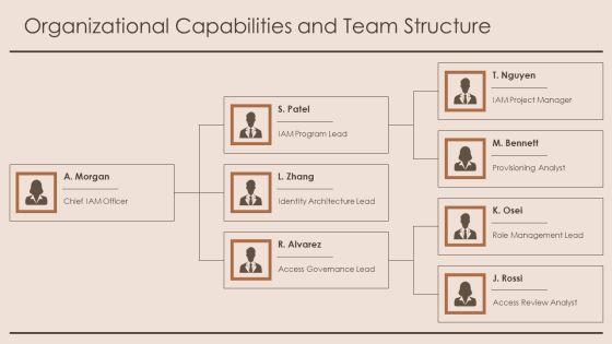 Identity And Access Management Capability Maturity Model PPT Graphics VM