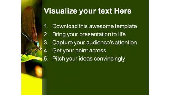 insect_macro_laos_animals_powerpoint_themes_and_powerpoint_slides_0211_text.jpg