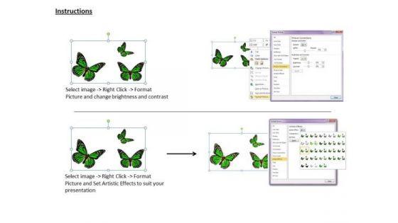internet_business_strategy_3d_three_green_butterflies_photos_3.jpg