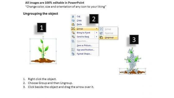 isolated_money_growing_on_trees_powerpoint_slides_and_ppt_diagram_templates_2.jpg