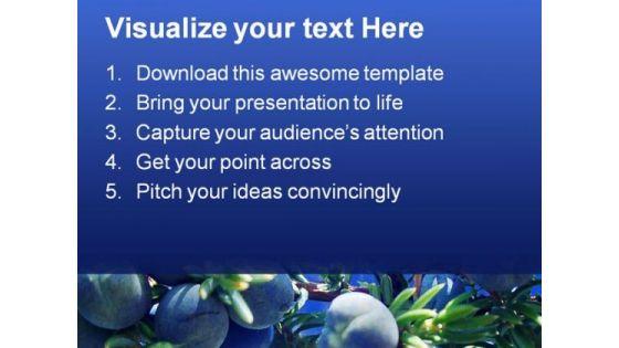 juniperus_nature_powerpoint_templates_and_powerpoint_backgrounds_0211_text.jpg