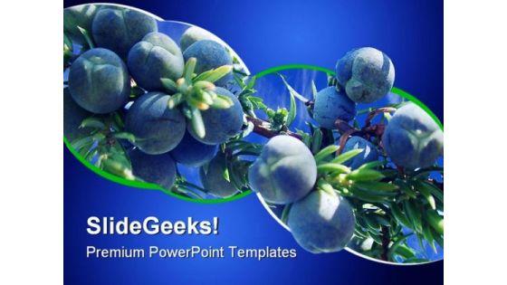 juniperus_nature_powerpoint_templates_and_powerpoint_backgrounds_0211_title.jpg
