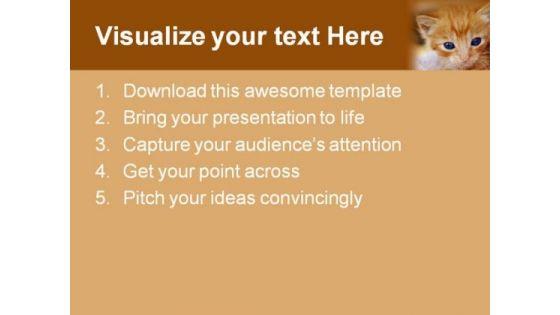 kitten_animals_powerpoint_templates_and_powerpoint_backgrounds_0211_text.jpg