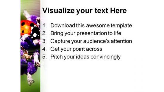 lady_bird_animals_powerpoint_templates_and_powerpoint_backgrounds_0311_print.jpg