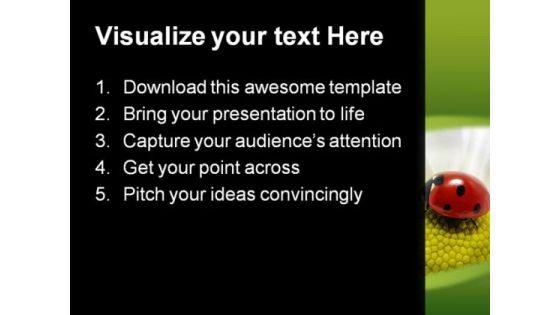 lady_bug_on_flower_animals_powerpoint_themes_and_powerpoint_slides_0211_text.jpg