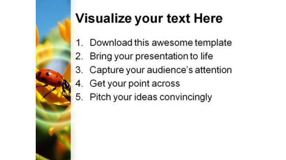 ladybug_animal_powerpoint_template_1110_print.jpg