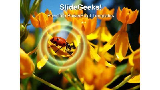 ladybug_animal_powerpoint_template_1110_title.jpg