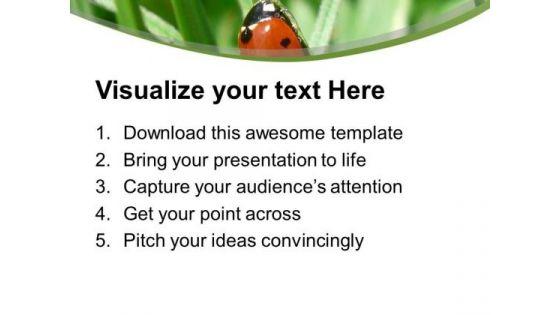 ladybug_on_the_grass_powerpoint_templates_ppt_backgrounds_for_slides_0713_print.jpg