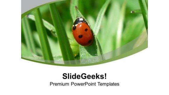 ladybug_on_the_grass_powerpoint_templates_ppt_backgrounds_for_slides_0713_title.jpg