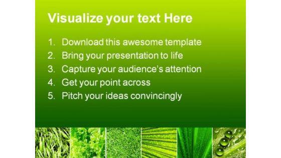 leaves_collage_nature_powerpoint_template_0810_text.jpg