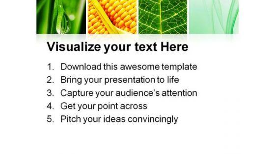 leaves_collage_nature_powerpoint_templates_and_powerpoint_backgrounds_0811_print.jpg