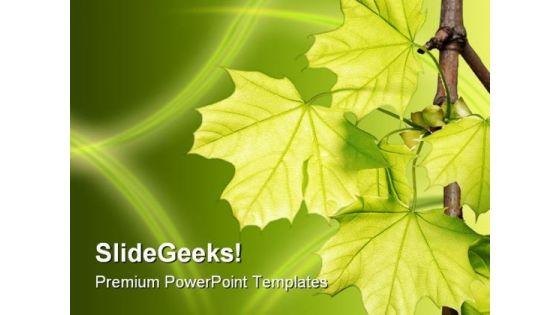 leaves_green_nature_powerpoint_template_1110_title.jpg