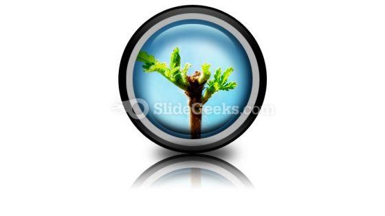 leaves_icon_cc.jpg