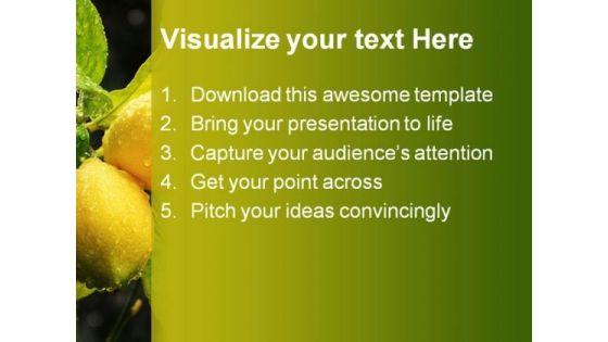 lemons_food_nature_powerpoint_template_0810_text.jpg