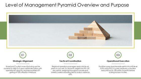 Level Of Management Pyramid PPT Information VM
