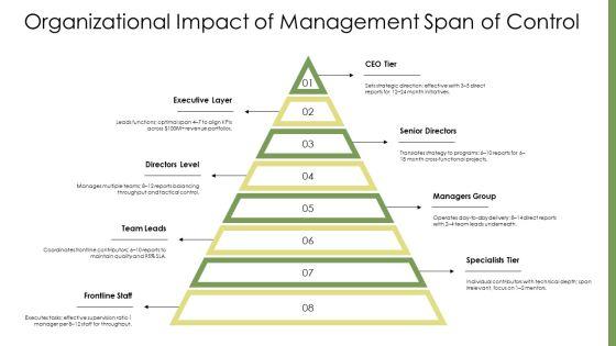Level Of Management Pyramid PPT Information VM