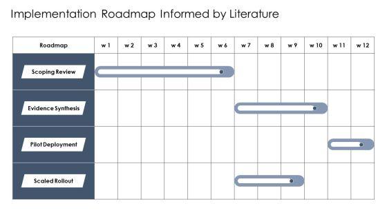 Literature Review PPT Presentation VM