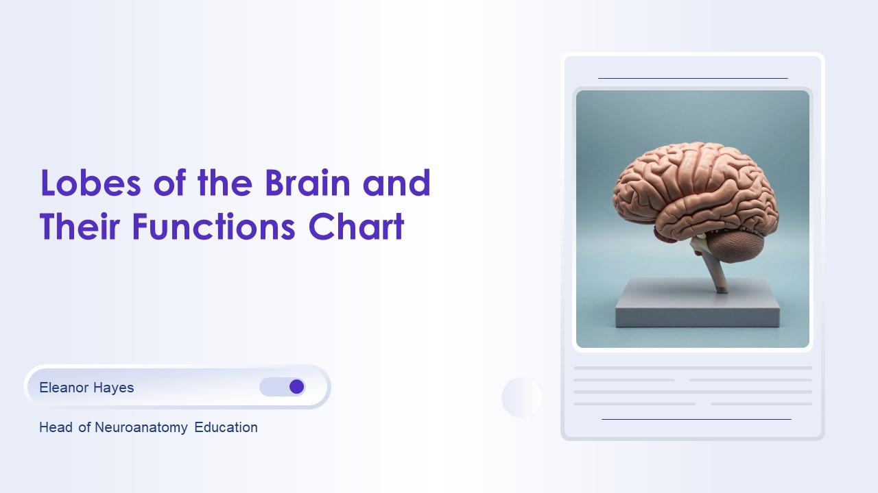 Lobes Of The Brain And Their Functions Chart PPT Graphics VM