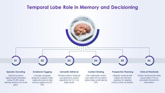 Lobes Of The Brain And Their Functions Chart PPT Graphics VM