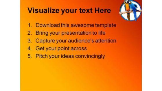 love_parrots_animals_powerpoint_backgrounds_and_templates_1210_text.jpg