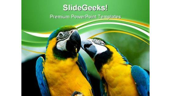 love_parrots_animals_powerpoint_templates_and_powerpoint_backgrounds_0611_title.jpg