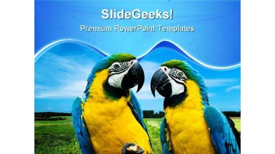 love_parrots_beauty_powerpoint_templates_and_powerpoint_backgrounds_0611_title.jpg