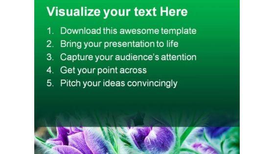 lush_pasque_flowers_beauty_powerpoint_templates_and_powerpoint_backgrounds_0311_text.jpg