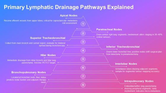 Lymphatic Drainage Of Lungs Flowchart 02 PPT Presentation VM