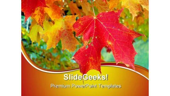 maple_leaves_nature_powerpoint_templates_and_powerpoint_backgrounds_0511_title.jpg