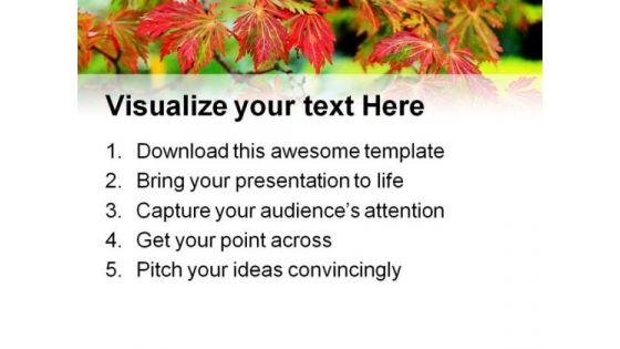 maple_tree_nature_powerpoint_backgrounds_and_templates_0111_print.jpg