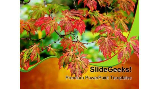 maple_tree_nature_powerpoint_backgrounds_and_templates_0111_title.jpg