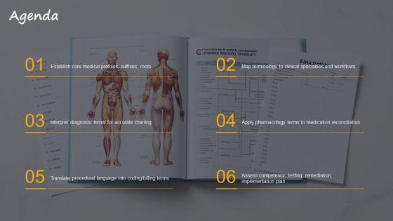Medical Terminology PPT Mockup VM