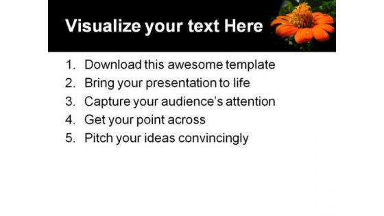 mexican_sunflower_beauty_powerpoint_templates_and_powerpoint_backgrounds_0311_print.jpg