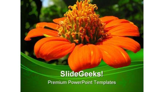 mexican_sunflower_beauty_powerpoint_templates_and_powerpoint_backgrounds_0311_title.jpg