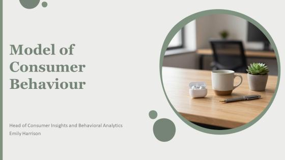 Model Of Consumer Behaviour PPT Slides VM