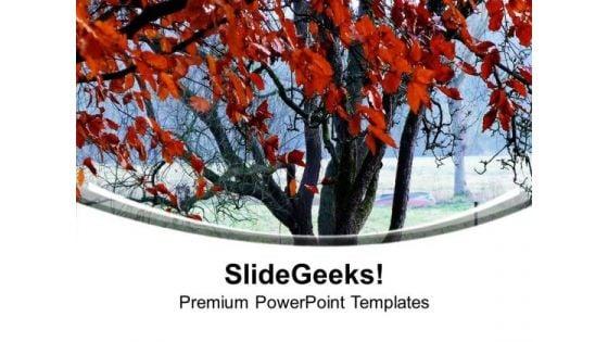nature_view_with_autumn_leaves_powerpoint_templates_ppt_backgrounds_for_slides_0713_title.jpg