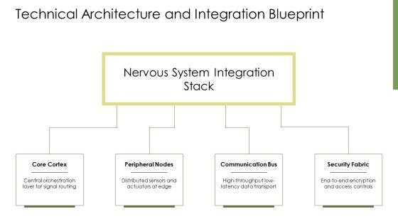 Nervous System PPT Outline VM