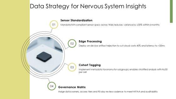 Nervous System PPT Outline VM