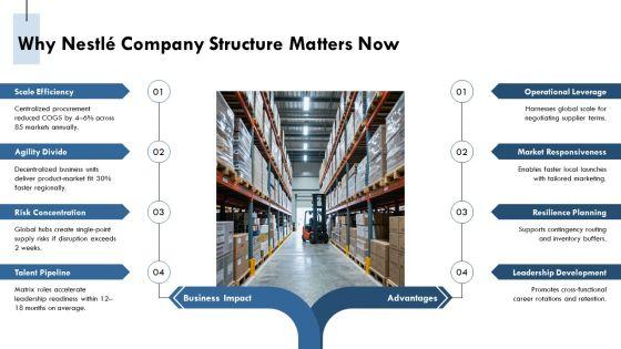 Nestle Company Structure PPT Graphics VM