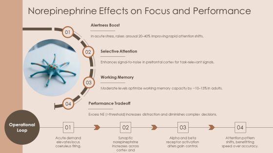 Neurotransmitters And Their Functions Chart PPT Sample VM