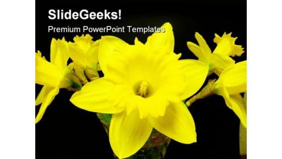 north_west_daffodils_beauty_powerpoint_templates_and_powerpoint_backgrounds_0311_title.jpg