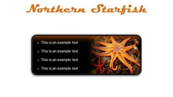 northern_starfish_beach_powerpoint_presentation_slides_r_1.jpg