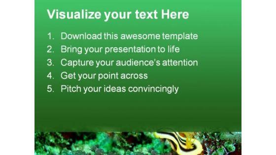 nudibranch_underwater_animals_powerpoint_templates_and_powerpoint_backgrounds_0611_text.jpg