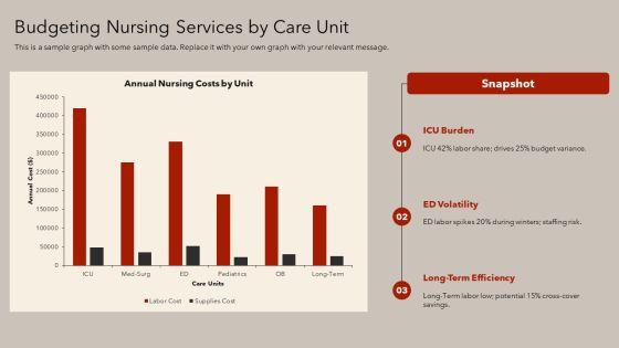 Nursing Care Delivery Model PPT PowerPoint VM