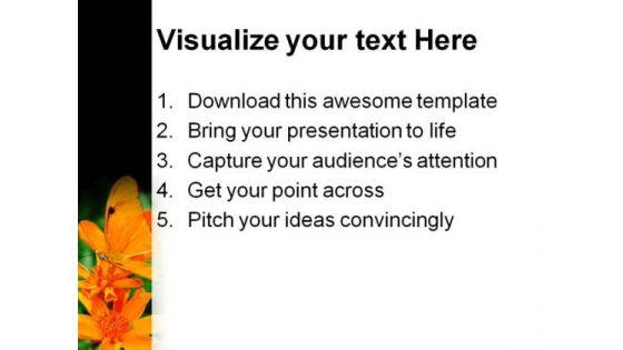 orange_butterfly_nature_powerpoint_templates_and_powerpoint_backgrounds_0211_print.jpg