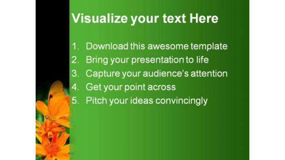 orange_butterfly_nature_powerpoint_templates_and_powerpoint_backgrounds_0211_text.jpg