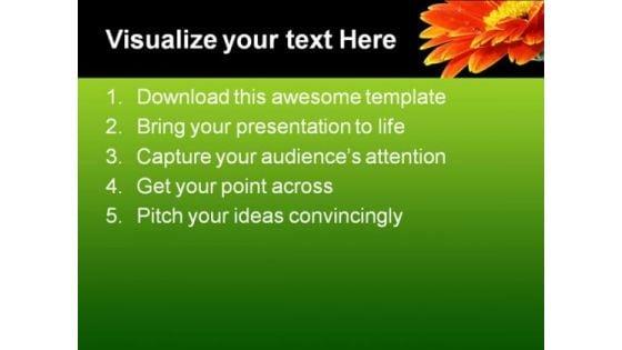 orange_gerbera_daisy_flower_beauty_powerpoint_templates_and_powerpoint_backgrounds_0611_text.jpg