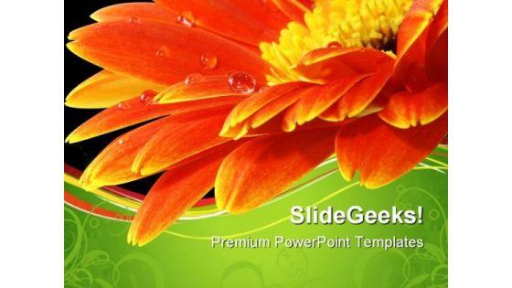 orange_gerbera_daisy_flower_beauty_powerpoint_templates_and_powerpoint_backgrounds_0611_title.jpg